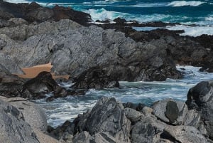 Santiago: Tour zur Isla Negra, Algarrobo und den Undurraga-Weinen