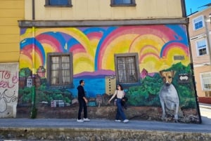 Santiago: Excursión a Valparaíso y Casablanca