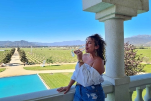 Santiago: Wycieczka do Valparaiso i Casablanki