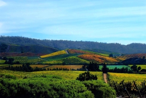 Santiago: Wycieczka do Valparaiso i Casablanki