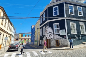 Santiago: Wycieczka do Valparaiso i Casablanki