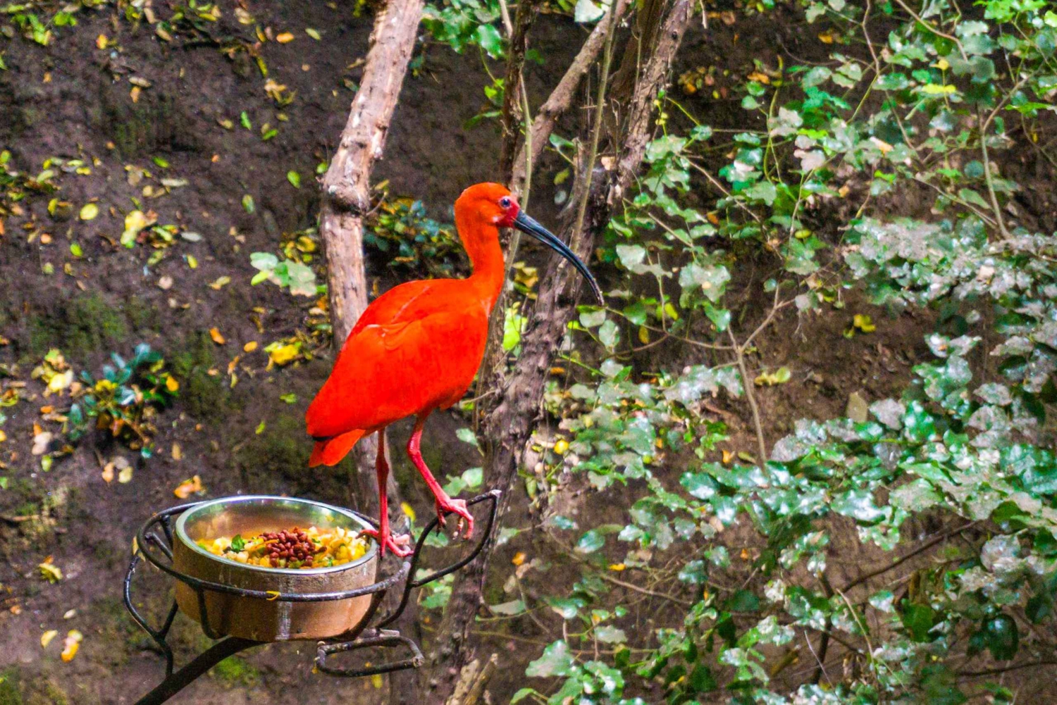 Santiago: Tricao Park, Isla Negra ja Pablo Nerudan talo.