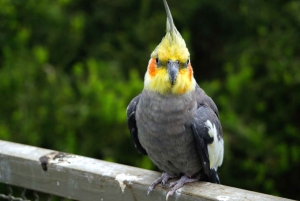 Santiago: Tricao Park, Isla Negra, and Pablo Neruda's House