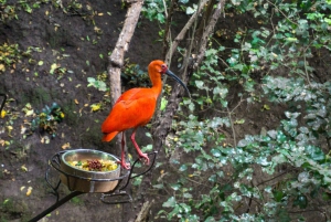 Santiago: Tricao Park, Isla Negra, and Pablo Neruda's House