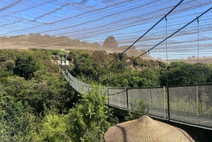 Santiago: Tricao Park, Isla Negra, and Pablo Neruda's House