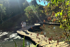 Santiago: Tricao Park, Isla Negra, and Pablo Neruda's House