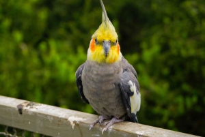 Santiago: Tricao Park, Isla Negra ja Pablo Nerudan talo.