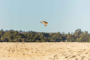 Santiago: Tricao Park, Isla Negra ja Pablo Nerudan talo.