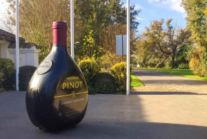 Santiago: Tricao Park, Isla Negra ja Pablo Nerudan talo.