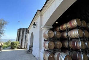 Santiago: Winery Tour with Entry and Wine Tasting