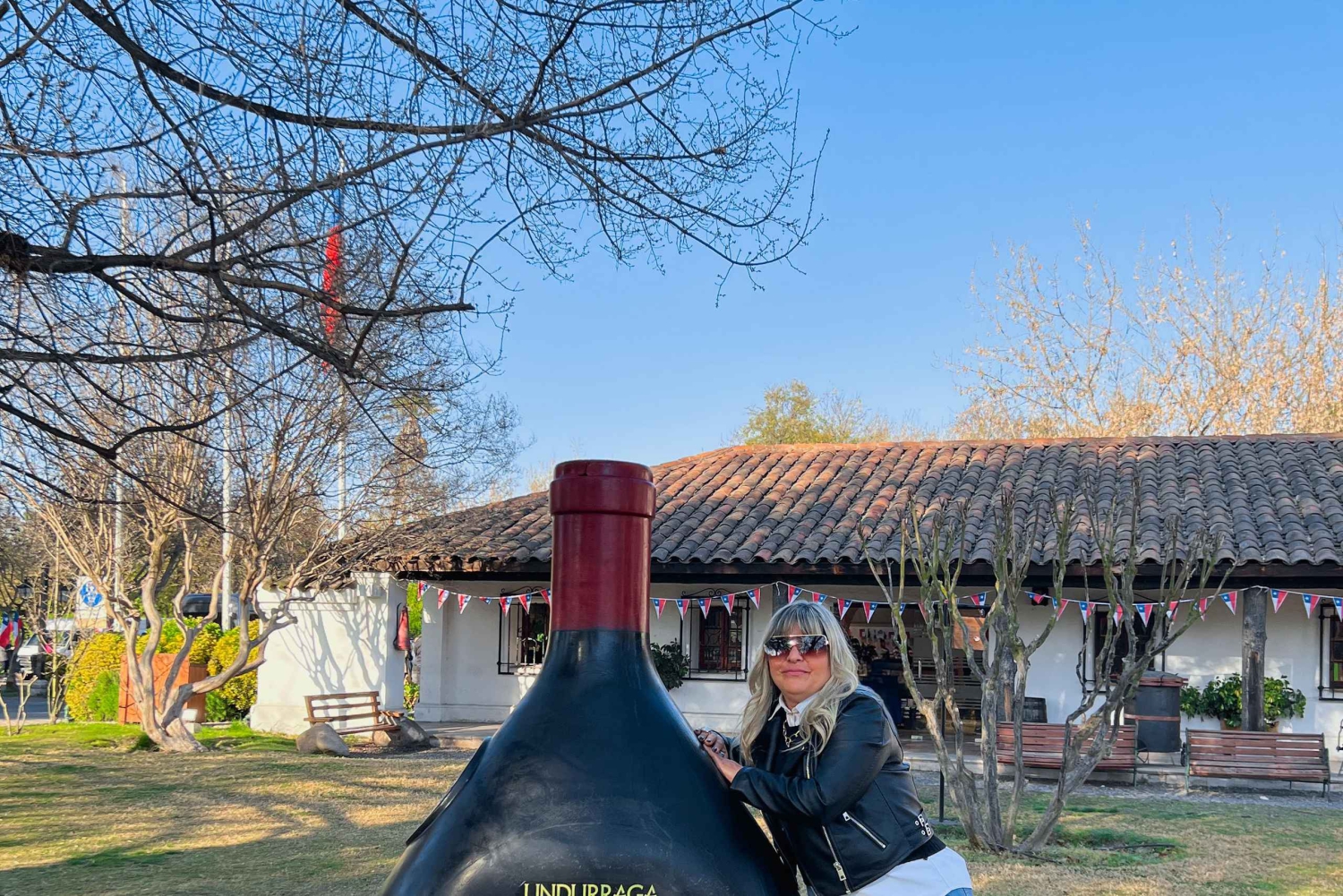 Santiago: Visita a la Bodega Undurraga con Entrada y Cata de Vinos