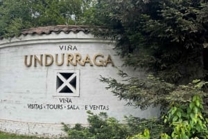 Santiago : Visite de la cave Undurraga avec entrée et dégustation de vin