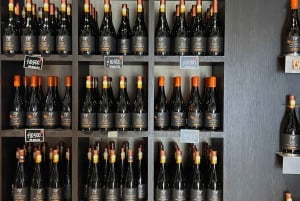 Santiago: Undurraga Winery Tour with Entry and Wine Tasting