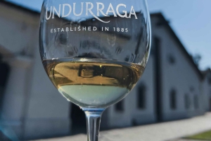 Santiago: Visita a la Bodega Undurraga con Entrada y Cata de Vinos