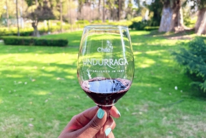 Santiago: Visita a la Bodega Undurraga con Entrada y Cata de Vinos