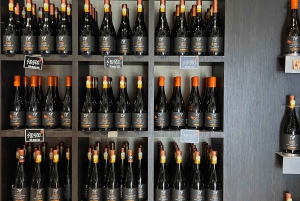 Santiago: Visita a la Bodega Undurraga con Entrada y Cata de Vinos