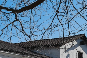 Santiago: Visita a la Bodega Undurraga con Entrada y Cata de Vinos