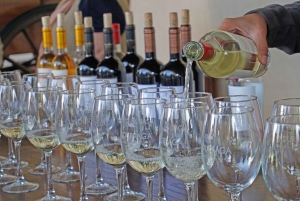 Santiago: Visita a la Bodega Undurraga con Entrada y Cata de Vinos