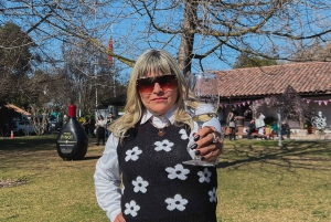 Santiago: Visita a la Bodega Undurraga con Entrada y Cata de Vinos