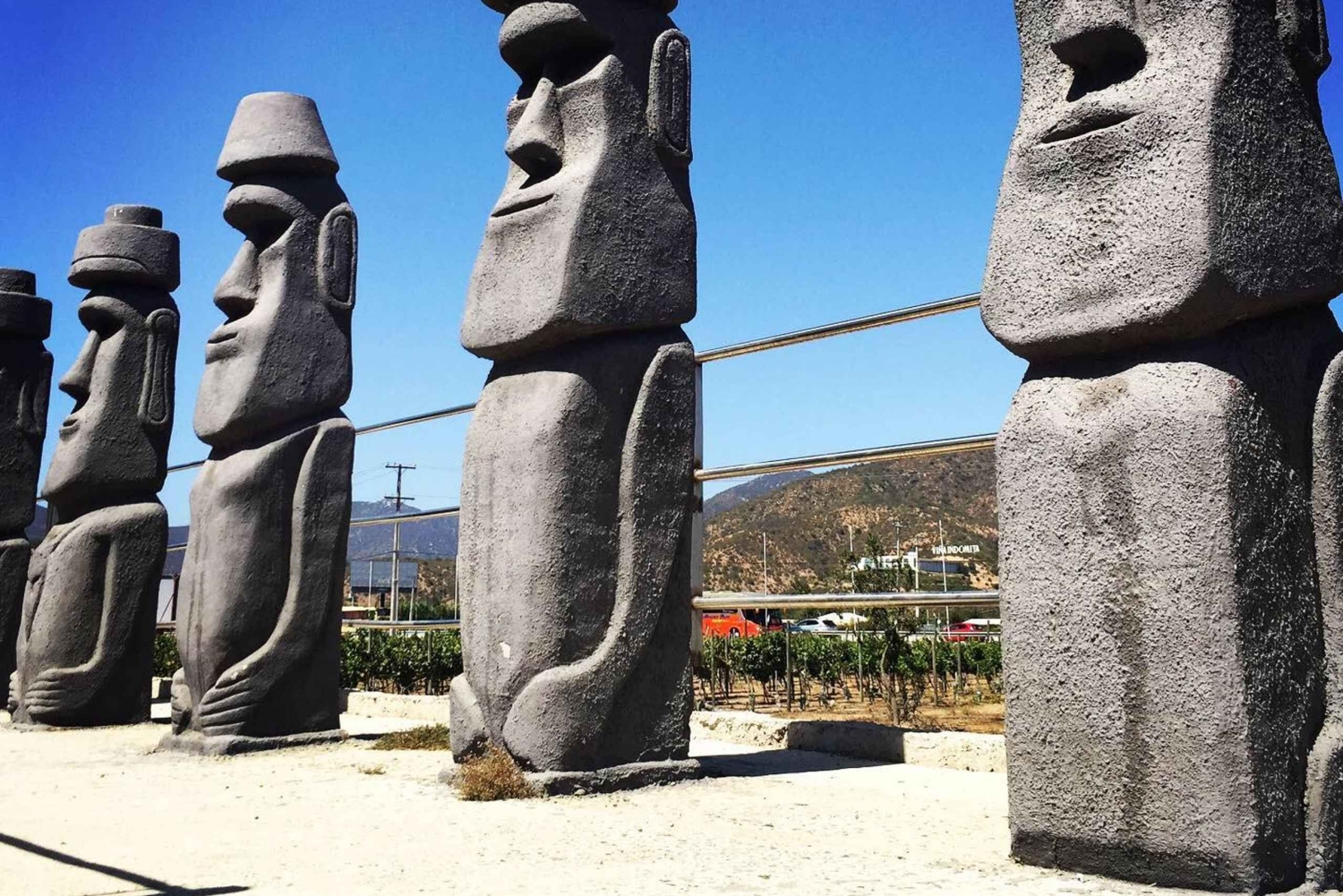 Santiago: Valparaíso + Barca + Viña del Mar + Degustazione in Viña Boutique