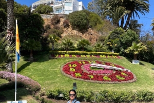 Santiago: Valparaíso + Barca + Viña del Mar + Degustazione in Viña Boutique