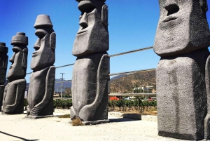 Santiago: Valparaíso + Barca + Viña del Mar + Degustazione in Viña Boutique