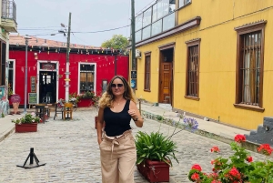 Santiago: Valparaíso + Barca + Viña del Mar + Degustazione in Viña Boutique