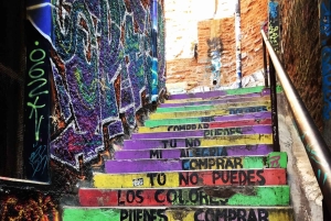 Santiago: Valparaíso + Barca + Viña del Mar + Degustazione in Viña Boutique