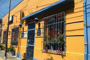 Santiago: Valparaíso + Barca + Viña del Mar + Degustazione in Viña Boutique