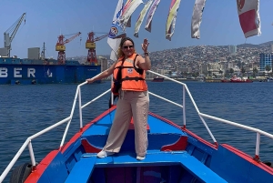 Santiago: Valparaíso + Barca + Viña del Mar + Degustazione in Viña Boutique