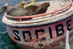 Santiago: Valparaíso + Barca + Viña del Mar + Degustazione in Viña Boutique