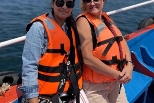 Santiago: Valparaíso + Barca + Viña del Mar + Degustazione in Viña Boutique