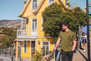 Santiago: Valparaíso, Viña del Mar e Vinícola Casas del Bosque com almoço