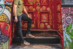 Santiago: Valparaíso, Viña del Mar e Vinícola Casas del Bosque com almoço