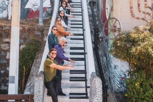 Santiago: Valparaíso, Viña del Mar e Vinícola Casas del Bosque com almoço