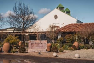 Santiago: Valparaíso, Viña del Mar e Vinícola Casas del Bosque com almoço