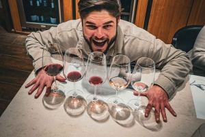 Santiago: Valparaíso, Viña del Mar e Vinícola Casas del Bosque com almoço