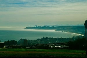 Santiago: Viña del Mar, Valparaiso, with Wine Tasting