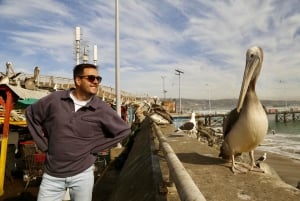Santiago: Viña del Mar, Valparaiso, with Wine Tasting