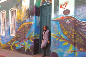 Santiago: Viña del Mar, Valparaiso, with Wine Tasting