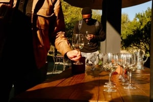 Santiago: Viña del Mar, Valparaiso, with Wine Tasting