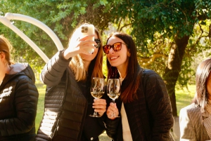 Santiago: Viña del Mar, Valparaiso, with Wine Tasting