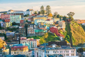 Santiago: Viña del Mar, Valparaiso, with Wine Tasting