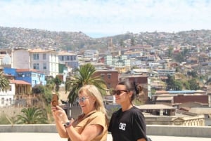 Santiago: Valparaíso y Viña del Mar, Experiencia Pacífico.