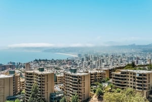 Fra Santiago: Vina Del Mar, Valparaiso, Casablanca og Reñaca