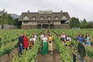 Santiago: Vinicola Alyan Family met degustación de vinos.