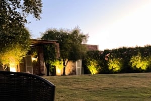 Santiago: Sunset Party med ubegrenset vin