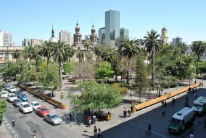 Santiago: walking tour, visit to the market, lunch and coffee included.