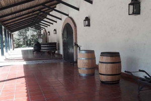 Santiago: Whitewater Rafting Adventure with Winery Tasting