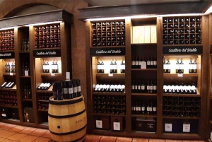 Santiago: Whitewater Rafting Adventure with Winery Tasting